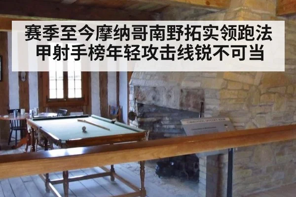 赛季至今摩纳哥南野拓实领跑法甲射手榜年轻攻击线锐不可当
